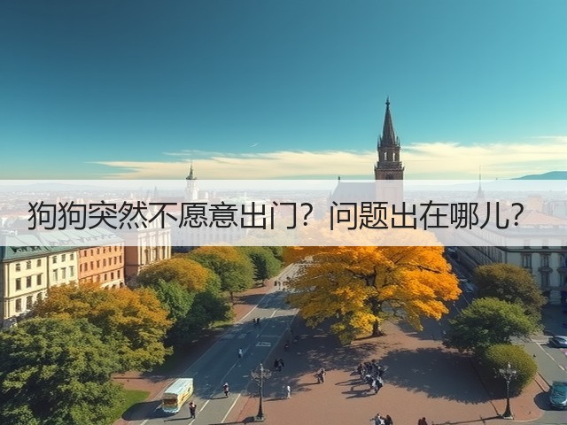 狗狗突然不愿意出门?问题出在哪儿?(图1) 狗狗突然不愿意出门?问题出在哪儿?(图1)