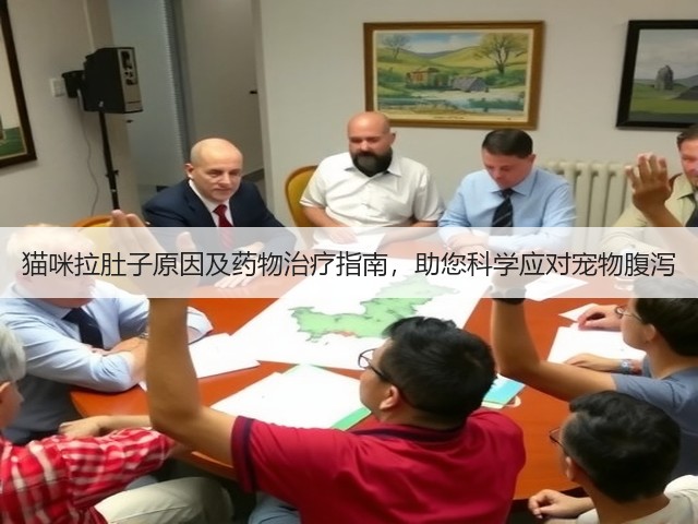 猫咪拉肚子原因及药物治疗指南,助您科学应对宠物腹泻(图1) 猫咪拉肚子原因及药物治疗指南,助您科学应对宠物腹泻(图1)