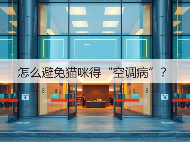怎么避免猫咪得“空调病”?(图2) 怎么避免猫咪得“空调病”?(图2)