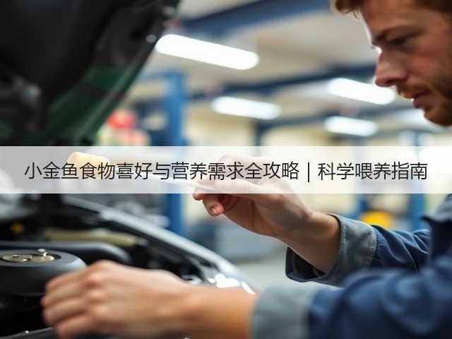 小金鱼食物喜好与营养需求全攻略|科学喂养指南(图1) 小金鱼食物喜好与营养需求全攻略|科学喂养指南(图1)
