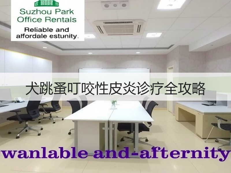 犬跳蚤叮咬性皮炎诊疗全攻略