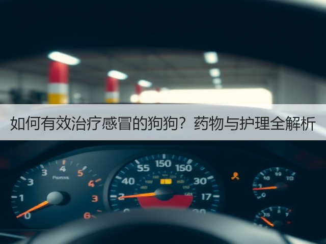 如何有效治疗感冒的狗狗?药物与护理全解析(图1) 如何有效治疗感冒的狗狗?药物与护理全解析(图1)