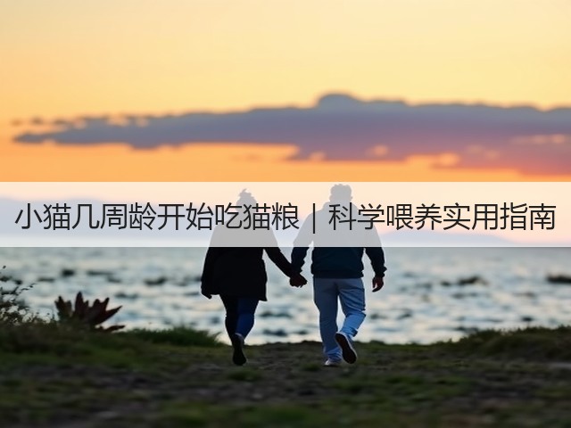 小猫几周龄开始吃猫粮｜科学喂养实用指南(图3)