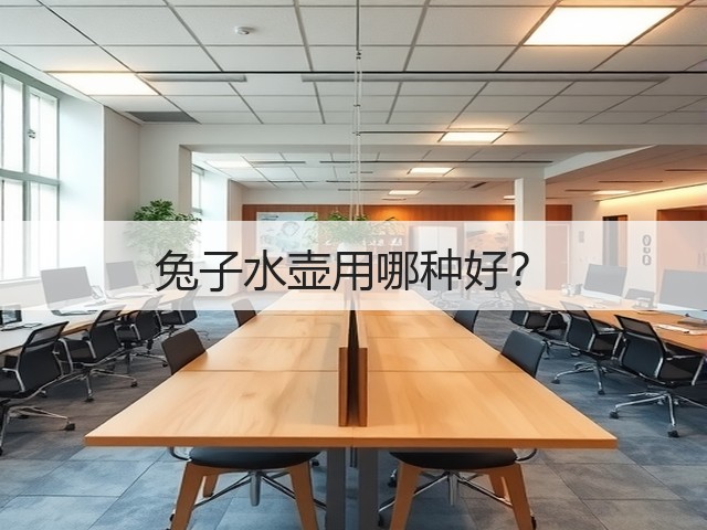 兔子水壶用哪种好?(图1) 兔子水壶用哪种好?(图1)