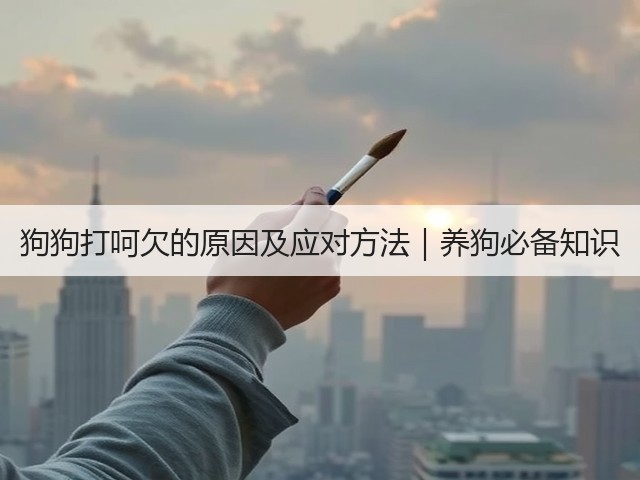 狗狗打呵欠的原因及应对方法|养狗必备知识(图3) 狗狗打呵欠的原因及应对方法|养狗必备知识(图3)
