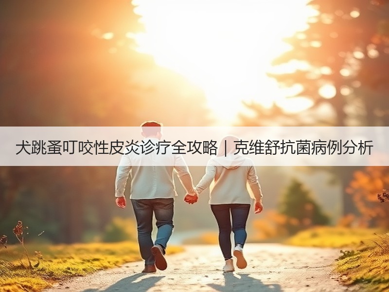 犬跳蚤叮咬性皮炎诊疗全攻略｜克维舒抗菌病例分析