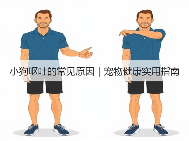 小狗呕吐的常见原因|宠物健康实用指南(图3) 小狗呕吐的常见原因|宠物健康实用指南(图3)