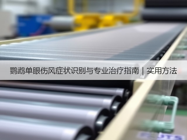 鹦鹉单眼伤风症状识别与专业治疗指南|实用方法(图1) 鹦鹉单眼伤风症状识别与专业治疗指南|实用方法(图1)