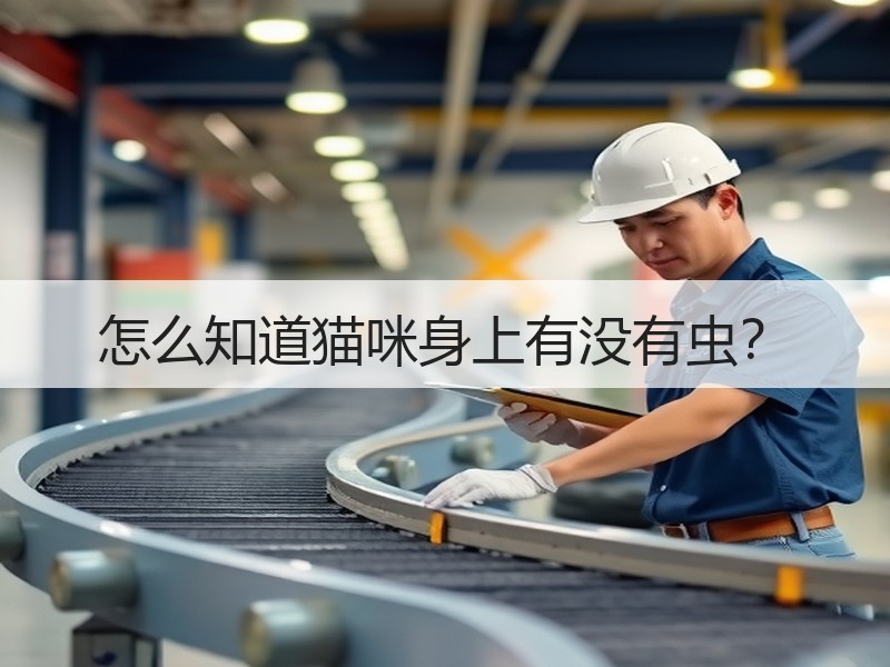 怎么知道猫咪身上有没有虫？