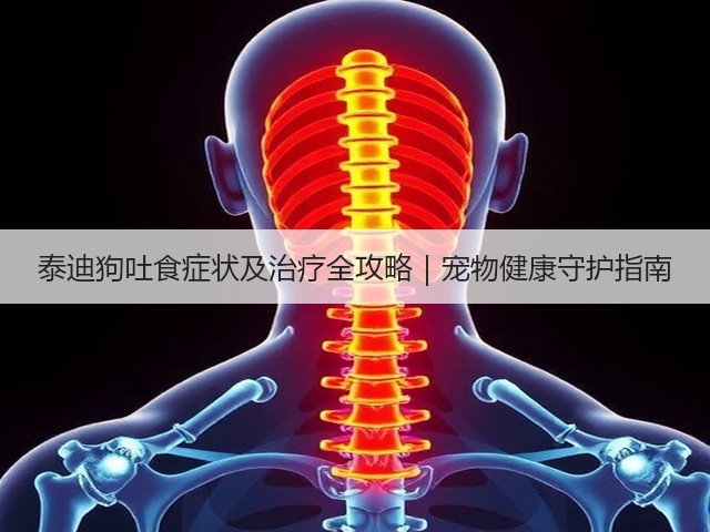 泰迪狗吐食症状及治疗全攻略|宠物健康守护指南(图1) 泰迪狗吐食症状及治疗全攻略|宠物健康守护指南(图1)