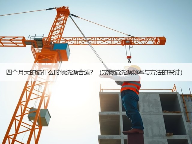 四个月大的猫什么时候洗澡合适?(宠物猫洗澡频率与方法的探讨)(图1) 四个月大的猫什么时候洗澡合适?(宠物猫洗澡频率与方法的探讨)(图1)