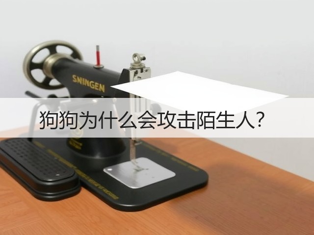 狗狗为什么会攻击陌生人?(图3) 狗狗为什么会攻击陌生人?(图3)