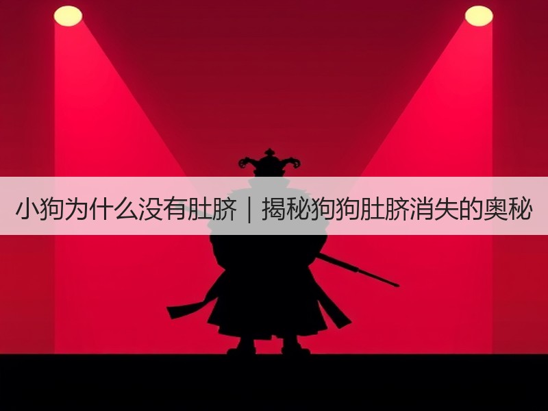 小狗为什么没有肚脐｜揭秘狗狗肚脐消失的奥秘
