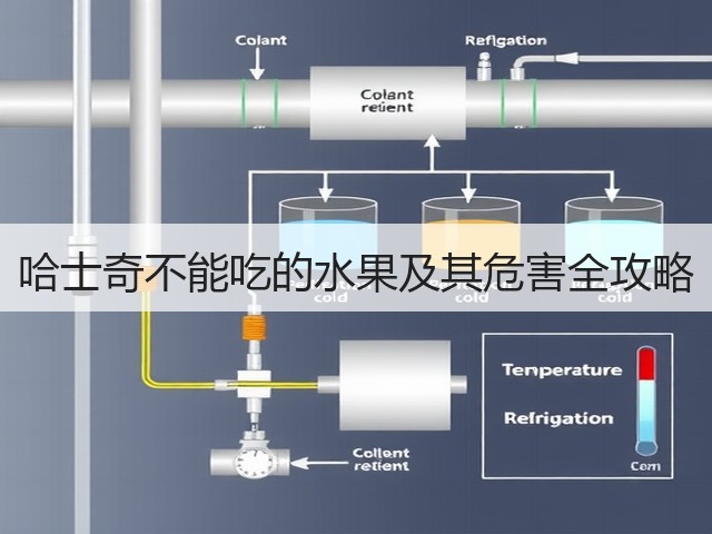 哈士奇不能吃的水果及其危害全攻略(图3) 哈士奇不能吃的水果及其危害全攻略(图3)