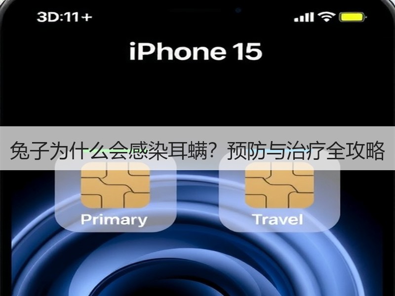 兔子为什么会感染耳螨？预防与治疗全攻略