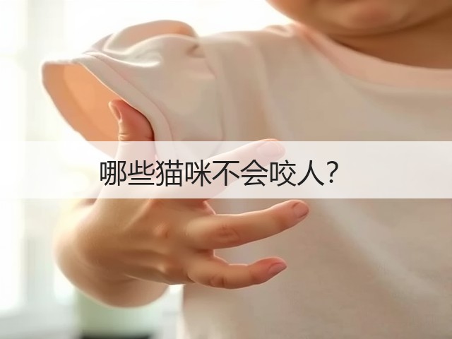 哪些猫咪不会咬人?(图1) 哪些猫咪不会咬人?(图1)