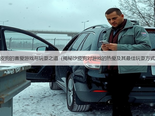 沙皮狗的喜爱游戏与玩耍之道(揭秘沙皮狗对游戏的热爱及其最佳玩耍方式)(图2) 沙皮狗的喜爱游戏与玩耍之道(揭秘沙皮狗对游戏的热爱及其最佳玩耍方式)(图2)
