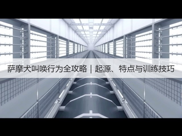 萨摩犬叫唤行为全攻略|起源、特点与训练技巧(图2) 萨摩犬叫唤行为全攻略|起源、特点与训练技巧(图2)