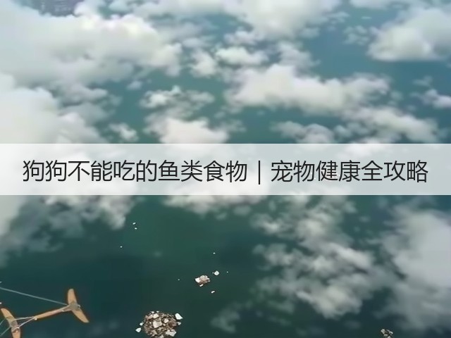 狗狗不能吃的鱼类食物|宠物健康全攻略(图3) 狗狗不能吃的鱼类食物|宠物健康全攻略(图3)