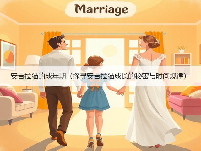 安吉拉猫的成年期(探寻安吉拉猫成长的秘密与时间规律)(图1) 安吉拉猫的成年期(探寻安吉拉猫成长的秘密与时间规律)(图1)