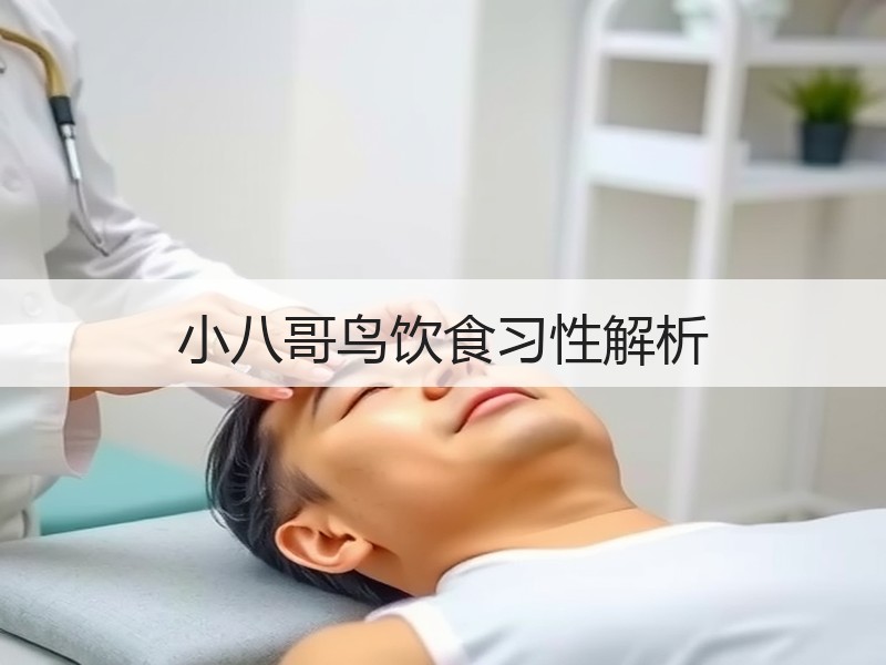 小八哥鸟饮食习性解析