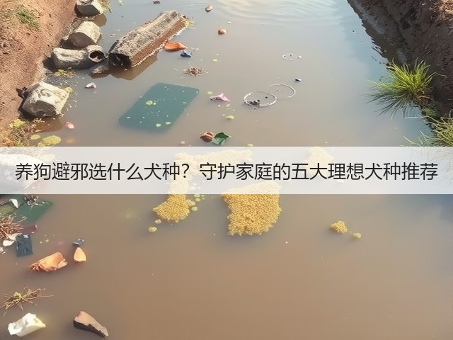 养狗避邪选什么犬种？守护家庭的五大理想犬种推荐(图2)