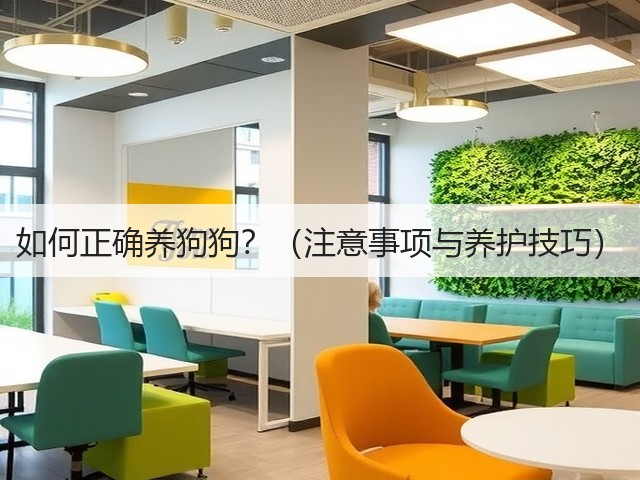 如何正确养狗狗?(注意事项与养护技巧)(图1) 如何正确养狗狗?(注意事项与养护技巧)(图1)