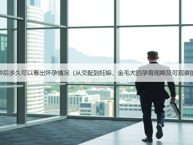 金毛配种后多久可以看出怀孕情况(从交配到妊娠,金毛犬的孕育周期及可观察的体征)(图1) 金毛配种后多久可以看出怀孕情况(从交配到妊娠,金毛犬的孕育周期及可观察的体征)(图1)