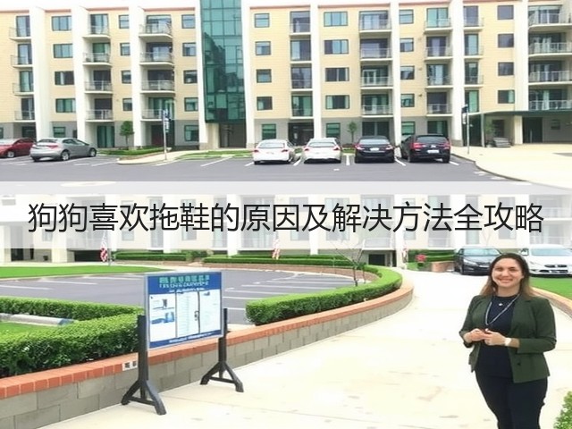 狗狗喜欢拖鞋的原因及解决方法全攻略(图3) 狗狗喜欢拖鞋的原因及解决方法全攻略(图3)