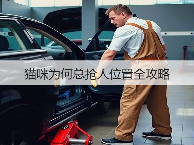 猫咪为何总抢人位置全攻略(图2) 猫咪为何总抢人位置全攻略(图2)