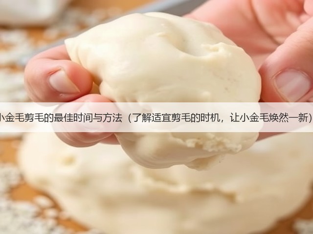 小金毛剪毛的最佳时间与方法(了解适宜剪毛的时机,让小金毛焕然一新)(图2) 小金毛剪毛的最佳时间与方法(了解适宜剪毛的时机,让小金毛焕然一新)(图2)