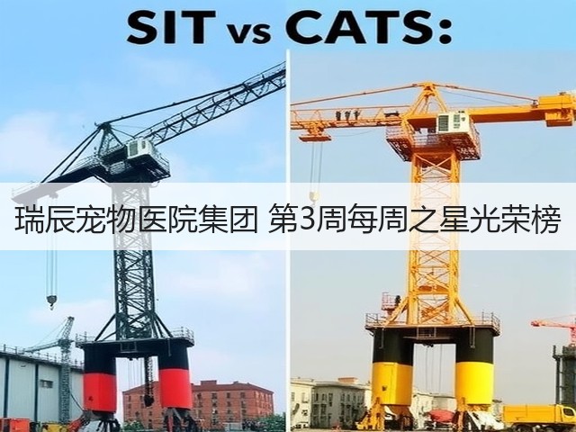 瑞辰宠物医院集团 第3周每周之星光荣榜(图2) 瑞辰宠物医院集团 第3周每周之星光荣榜(图2)