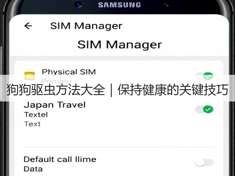 狗狗驱虫方法大全｜保持健康的关键技巧