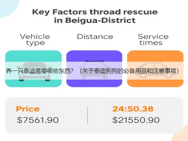 养一只泰迪需要哪些东西?(关于泰迪狗狗的必备用品和注意事项)(图1) 养一只泰迪需要哪些东西?(关于泰迪狗狗的必备用品和注意事项)(图1)