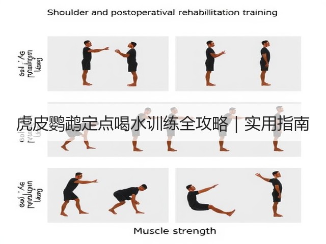 虎皮鹦鹉定点喝水训练全攻略|实用指南(图1) 虎皮鹦鹉定点喝水训练全攻略|实用指南(图1)
