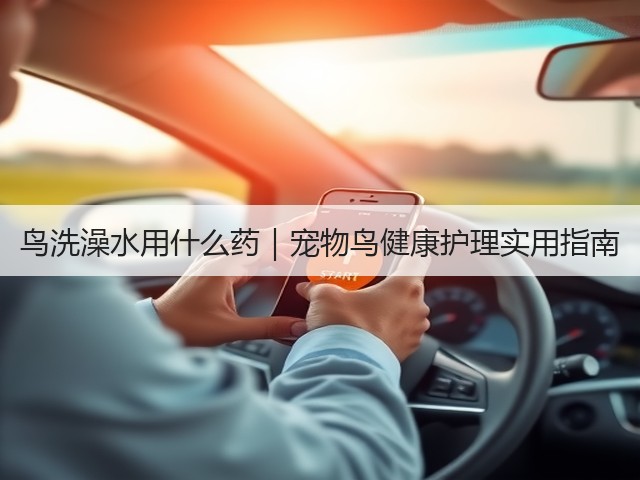 鸟洗澡水用什么药|宠物鸟健康护理实用指南(图1) 鸟洗澡水用什么药|宠物鸟健康护理实用指南(图1)