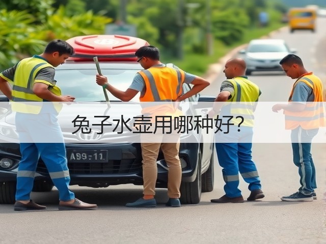 兔子水壶用哪种好?(图3) 兔子水壶用哪种好?(图3)
