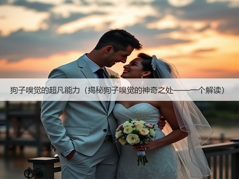 狗子嗅觉的超凡能力（揭秘狗子嗅觉的神奇之处——一个解读）