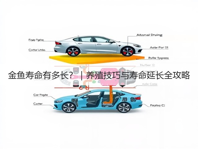 金鱼寿命有多长?|养殖技巧与寿命延长全攻略(图3) 金鱼寿命有多长?|养殖技巧与寿命延长全攻略(图3)