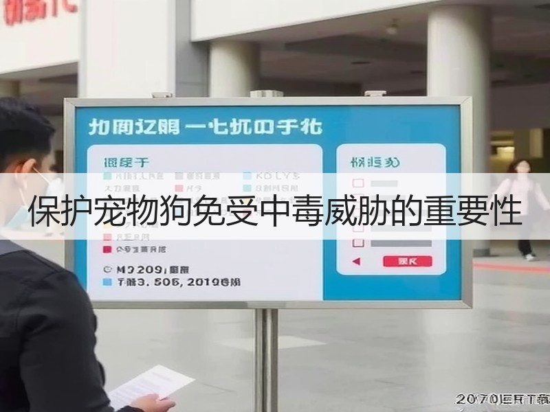 保护宠物狗免受中毒威胁的重要性