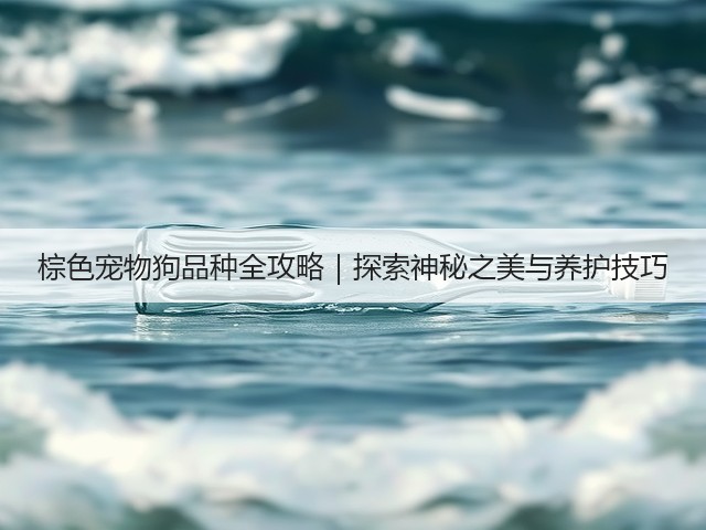 棕色宠物狗品种全攻略|探索神秘之美与养护技巧(图3) 棕色宠物狗品种全攻略|探索神秘之美与养护技巧(图3)