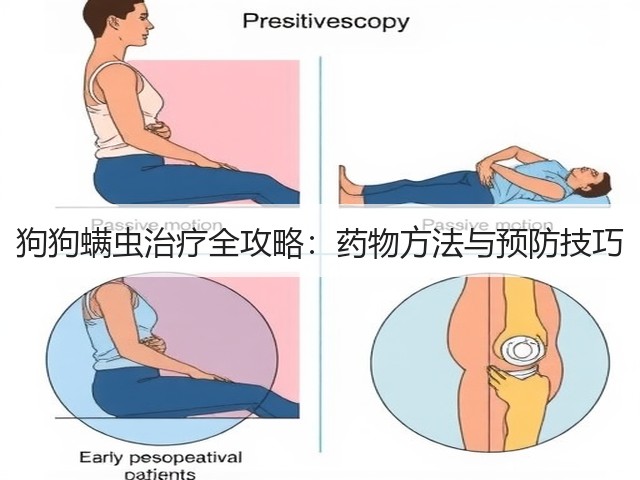 狗狗螨虫治疗全攻略：药物方法与预防技巧(图1)