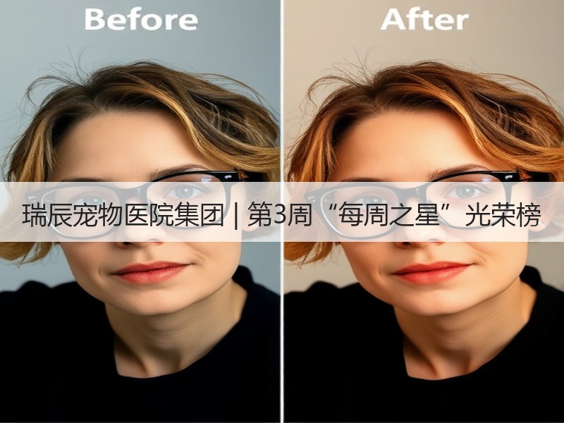 瑞辰宠物医院集团 | 第3周“每周之星”光荣榜