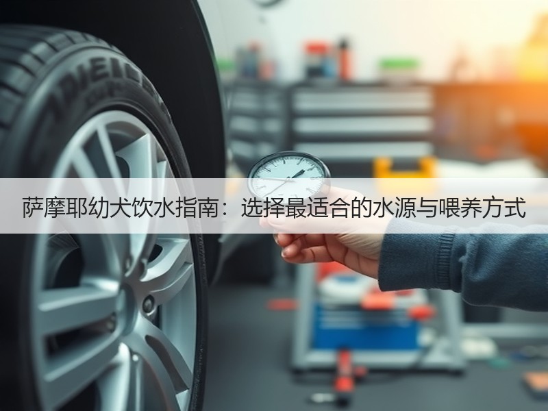萨摩耶幼犬饮水指南:选择最适合的水源与喂 萨摩耶幼犬饮水指南:选择最适合的水源与喂