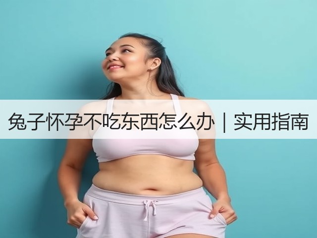 兔子怀孕不吃东西怎么办|实用指南(图1) 兔子怀孕不吃东西怎么办|实用指南(图1)