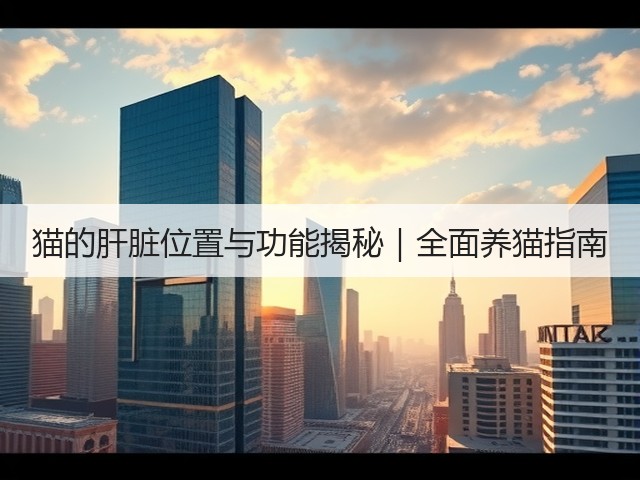 猫的肝脏位置与功能揭秘|全面养猫指南(图3) 猫的肝脏位置与功能揭秘|全面养猫指南(图3)