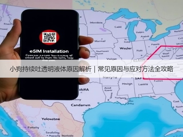 小狗持续吐透明液体原因解析|常见原因与应对方法全攻略(图1) 小狗持续吐透明液体原因解析|常见原因与应对方法全攻略(图1)
