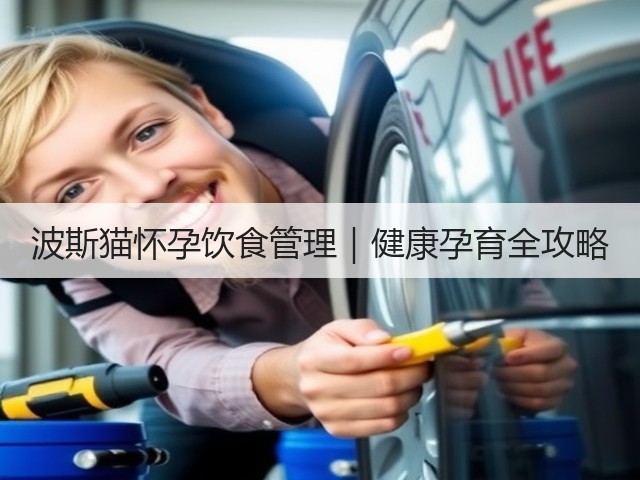 波斯猫怀孕饮食管理｜健康孕育全攻略(图1)