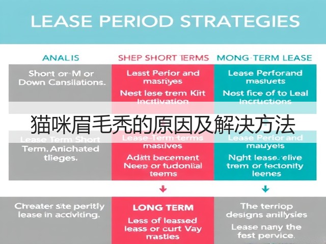 猫咪眉毛秃的原因及解决方法(图3)