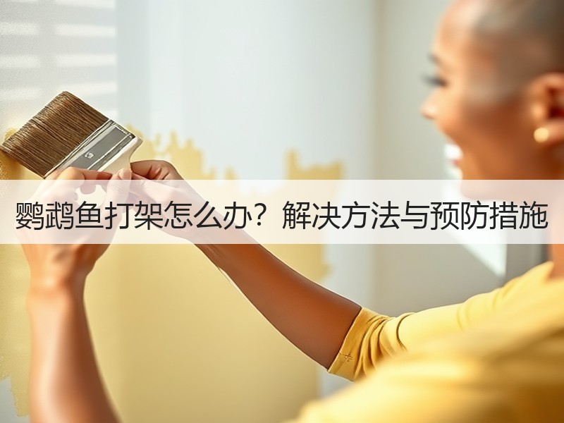 鹦鹉鱼打架怎么办？解决方法与预防措施